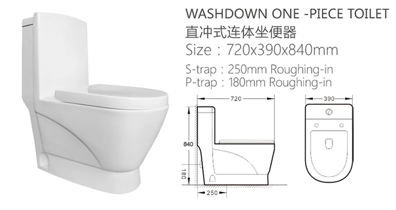 Round Shape S Trap 250mm Washdown One Piece Toilet Bowl Floor Mounted Bathroom Sanitary Toilet