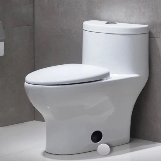 Sanitari Bagno Serbatoio Sifone Wc Wc Blanco Inodoro